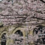 Thumbnail of post image 155