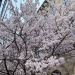 Thumbnail of post image 169